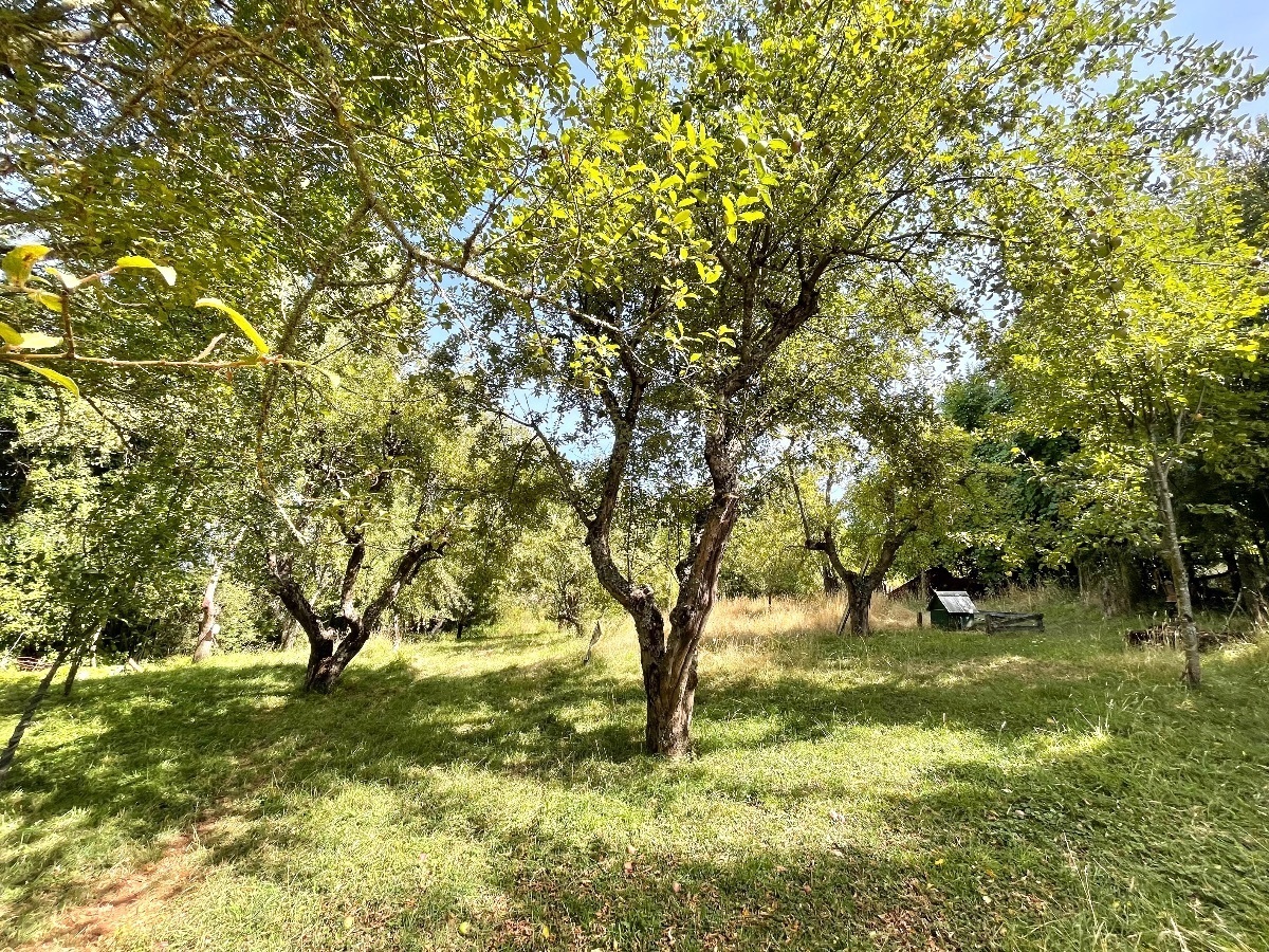 Foto 23